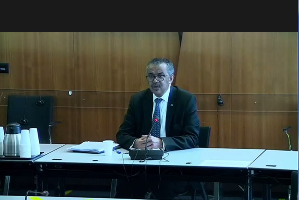 Seminar for the heads of the WHO collaborating centres conducted by the WHO Director-General