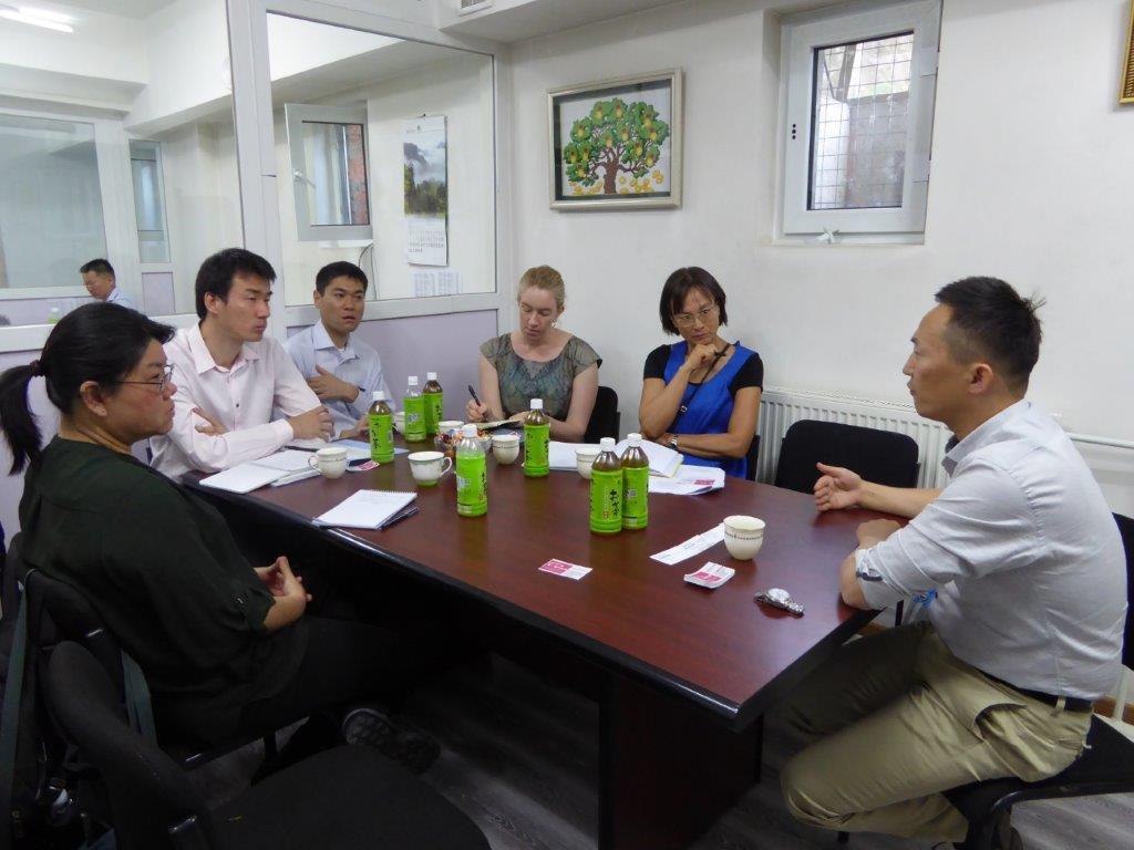 Activity in Mongolia : Hepatitis B and C