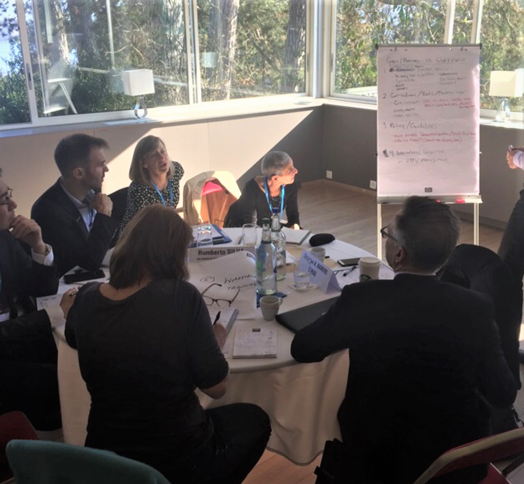 WHO : Global Partner’s meeting on hepatitis elimination　(Geneva, Switzerland)